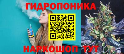 бошки Камышлов