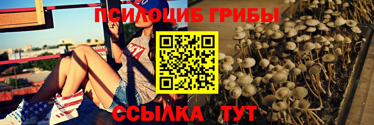 Кунгур  Псилоцибиновые грибы GOLDEN TEACHER  Галлюциногенные грибы мухоморы  наркошоп  Вход с VPN 